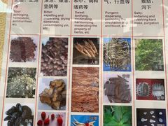 -广州神农草堂中医药博物馆