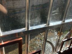 -竹庄餐馆·26年店(南昆山景区店)