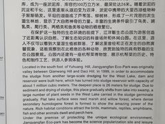 -西湖风景区-江洋畈生态公园