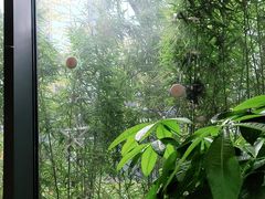 -梅花境(万科店)