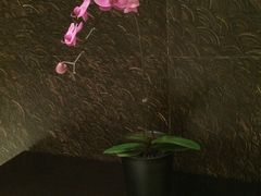 -AdD全日制餐厅(中谷花园酒店)