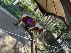 -杭州少年儿童公园