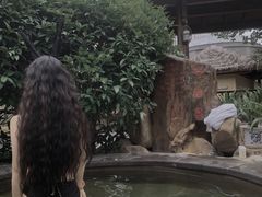 -万象温泉景区