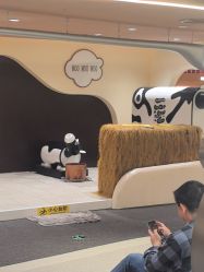 -奈尔宝·国风主题儿童乐园·亲子餐厅(豫园商城店)
