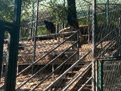 -北京鹿世界主题园