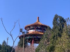 -府君山公园