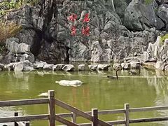 -千岛湖石林