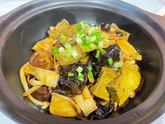 素八珍黑豆腐-峨嵋酒家总店(车公庄店)