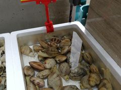 -蚝专家(北滘店)