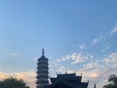 -奉贤海滩
