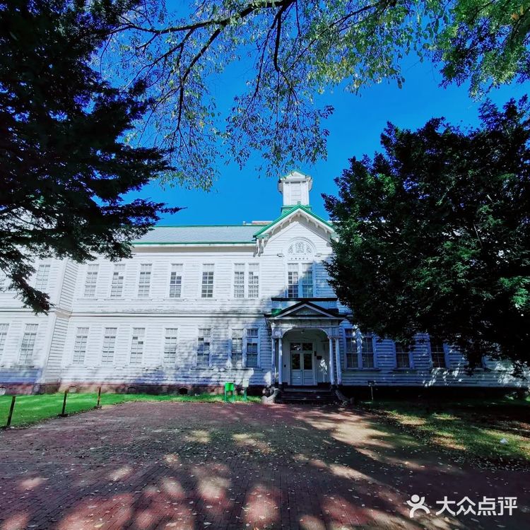 北海道大学赏枫