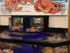 -蟹道乐(道顿堀本店)
