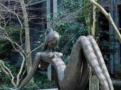 -杭州植物园