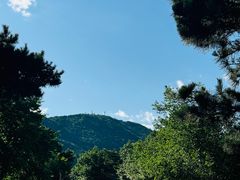 -北京西山国家森林公园