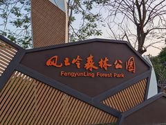 -风云岭森林公园
