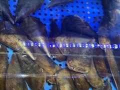 -前王院•巧克力海鲜市集餐厅(万平口店)