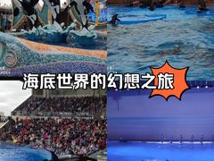 -上海海昌海洋公园