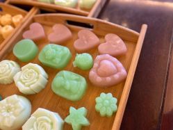 -大美母婴月子中心