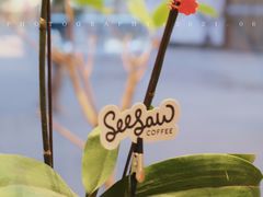 -Seesaw Coffee(苏州中心店)
