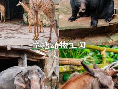 -长鹿旅游休博园