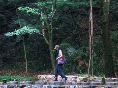 -牛背梁国家森林公园