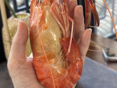 -蟹村草堂·苏式园林人文农家·大闸蟹