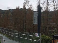 -梅峰山地公园
