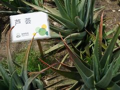 -上海多利农业发展有限公司