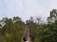 -桃花岭景区