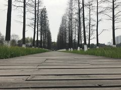 -圩墩遗址公园