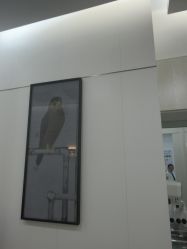 -AIST爱思特医疗美容医院