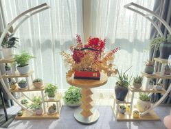 -大美母婴月子中心(希尔顿店)