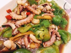 爆炒八爪鱼-阿尔法海鲜排档(爱琴海店)