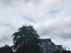 -泰州凤城河风景区-泰山公园