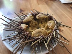 -海胆小馆(东北水饺·春柳店)