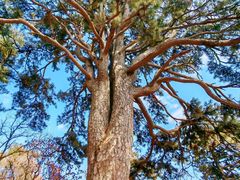 -终南山南五台景区