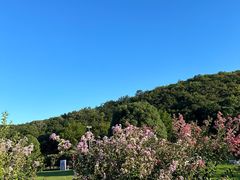 -南京老山国家森林公园