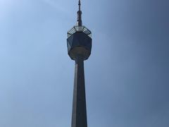 -陕西自然博物馆