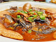 红烧杂鱼贴饼-张鸟园农家乐(张鸟园店)