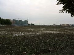 -3W咖啡(国家软件园店)