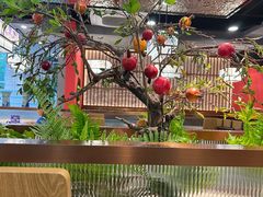 -洞庭家宴·头牌甲鱼(广渠门店)