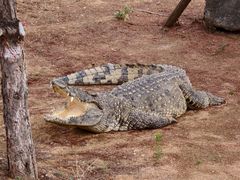 -石家庄市动物园