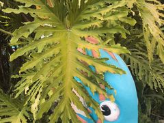 -重庆海昌加勒比海水世界