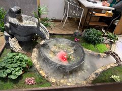 -东椰·海南椰子鸡火锅(朝阳门店)