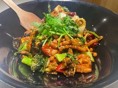 -食乐佳麻辣香锅(森林摩尔商业街区店)