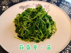蒜蓉萝卜苗-印象徽州·正宗徽菜体验店