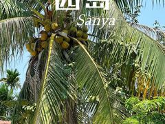 -三亚西岛海洋文化旅游区