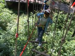 -梦幻奥陶纪景区