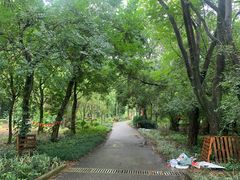 -南宁良凤江国家森林公园