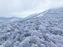 -长白山万达国际滑雪场